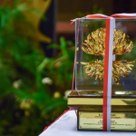 penghargaan kalpataru