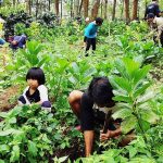 Mengulas Pendidikan Lingkungan sebagai Upaya Membangun Kesadaran Ekologis