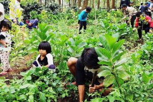 Mengulas Pendidikan Lingkungan sebagai Upaya Membangun Kesadaran Ekologis