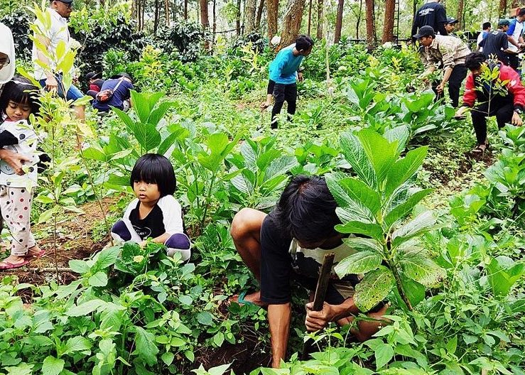 Mengulas Pendidikan Lingkungan sebagai Upaya Membangun Kesadaran Ekologis